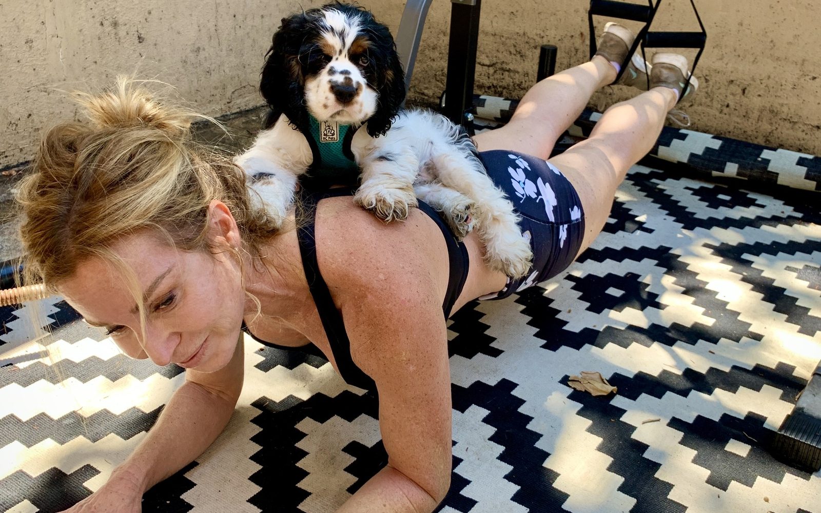 Loree holding a plank on a patterned rug while Arlo, a small dog, sits on her back